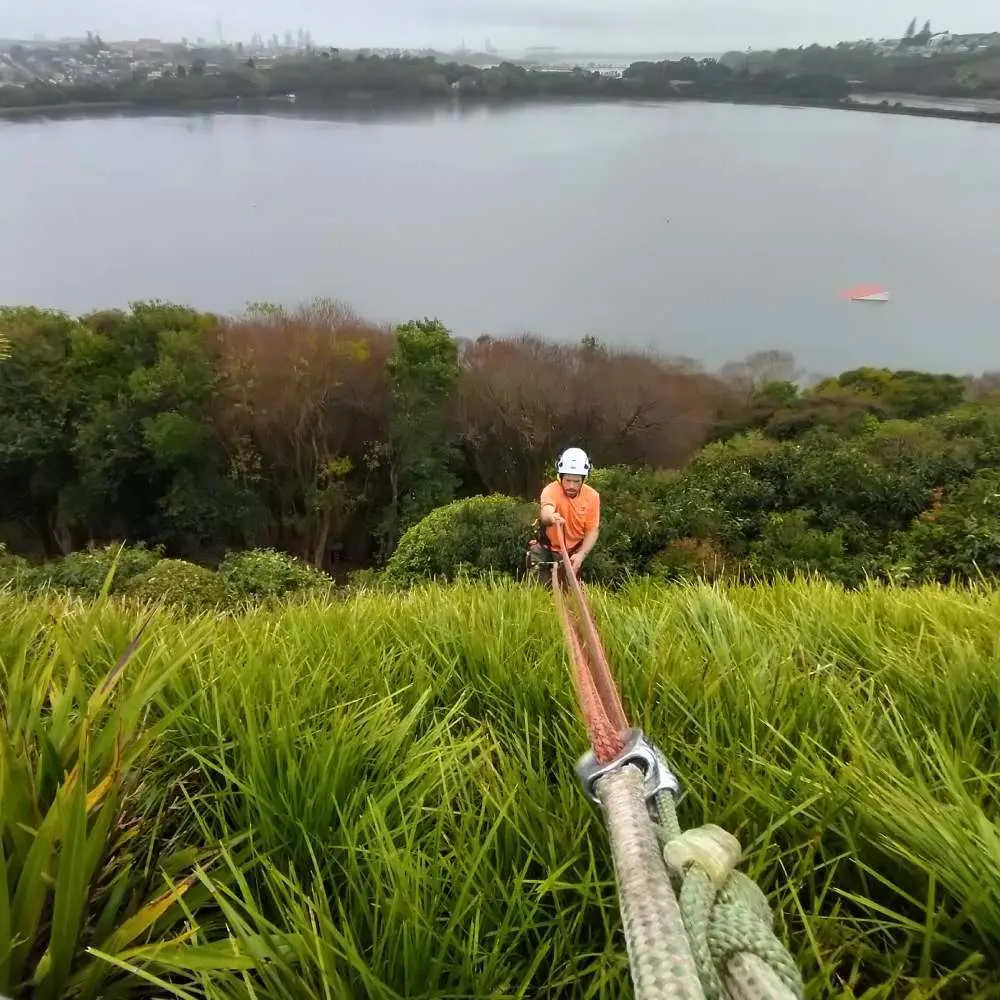 Rope access work on a planted slope overlooking the water